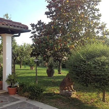 Bed & Breakfast La Spiga *