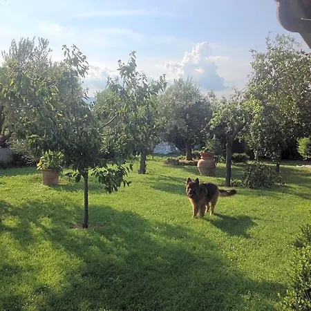La Spiga Rieti