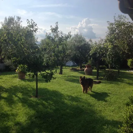 La Spiga Rieti