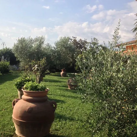 La Spiga